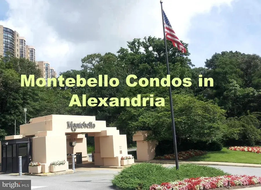 5902 Mount Eagle Dr #209, Alexandria, VA 22303 - #2