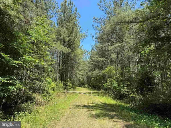 Brantley Moore Turnpike (tract Azalea Comp 17), EMPORIA, VA 23847