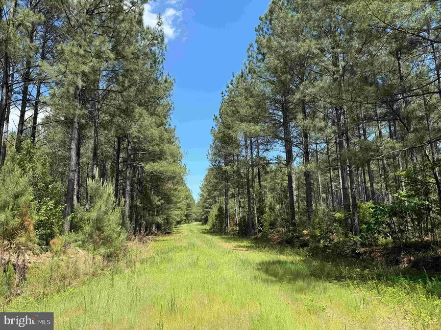 Brantley Moore Turnpike (tract Azalea Comp 17), Emporia, VA 23847 - #2
