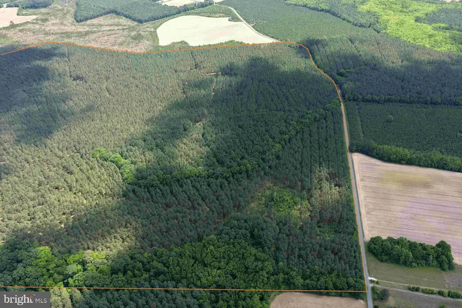 Brantley Moore Turnpike (tract Azalea Comp 17), Emporia, VA 23847 - #3