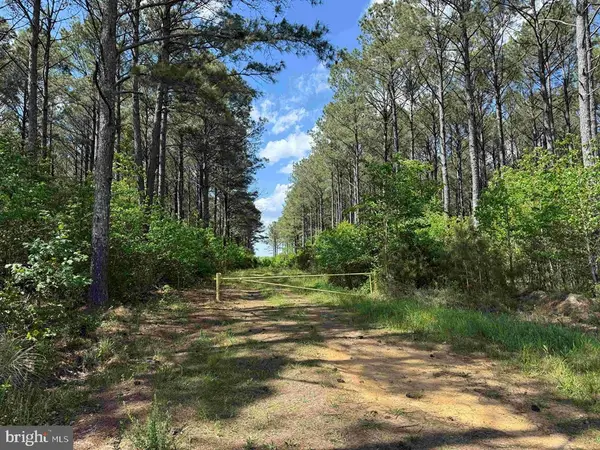 Taylors Mill Road (tract: Azalea Comp 18-2), EMPORIA, VA 23847