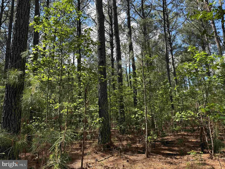 Taylors Mill Road (tract: Azalea Comp 18-2), Emporia, VA 23847 - #2