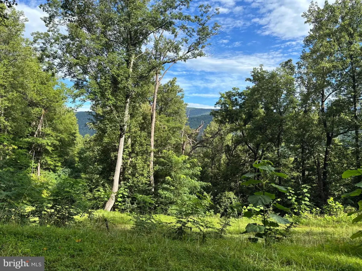 118 Lexington Ct, Stanardsville, VA 22973 - #1