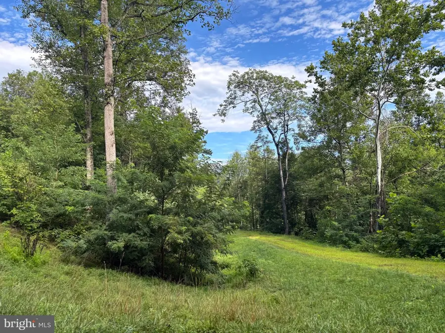 118 Lexington Ct, Stanardsville, VA 22973 - #3