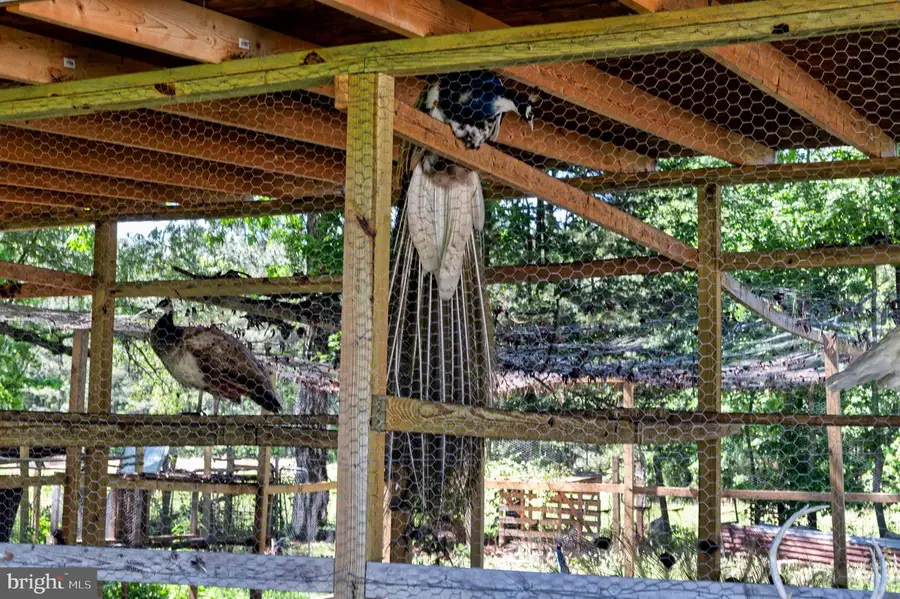 10439 Ashcake Rd, Ashland, VA 23005 - Image #2