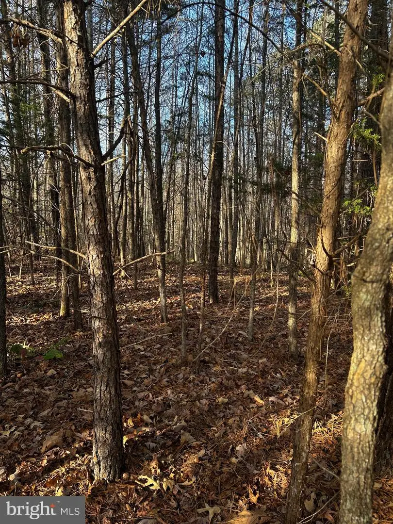 0 Bagwell Drive, Scottsburg, VA 24589 - Image #3