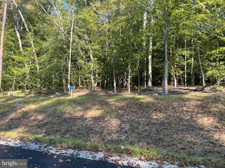 5361 Ridgewood Hills Dr, Williamsburg, VA 23188 - Image #2