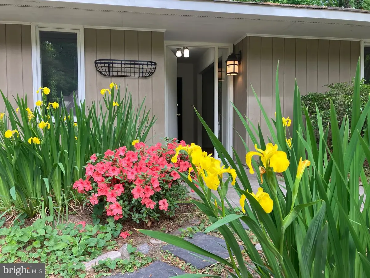 102 Stavenger, Williamsburg, VA 23188 - #1