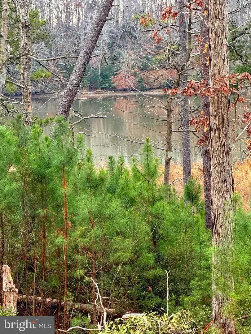 4 Seagrass Ct, King George, VA 22485 - Image #1