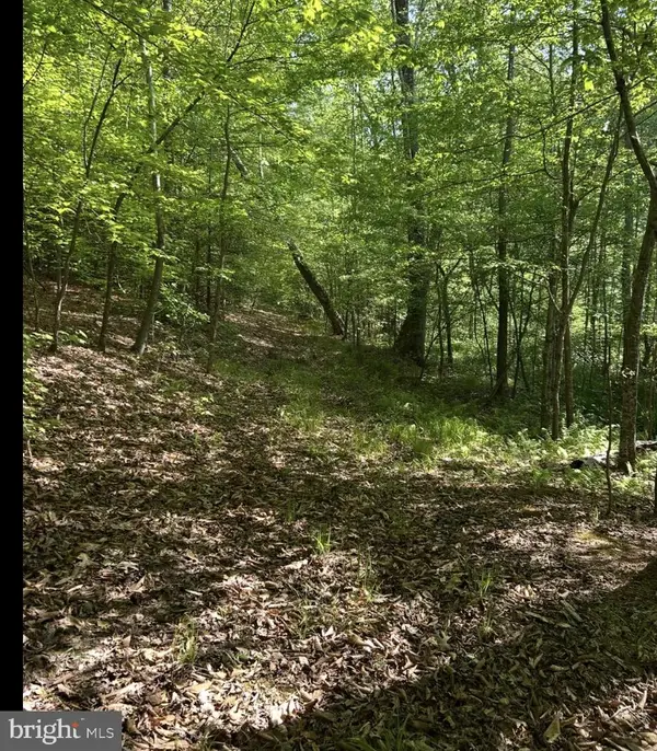 Lot 3 Tm: 35-3-3 Longfield Rd., KING GEORGE, VA 22485