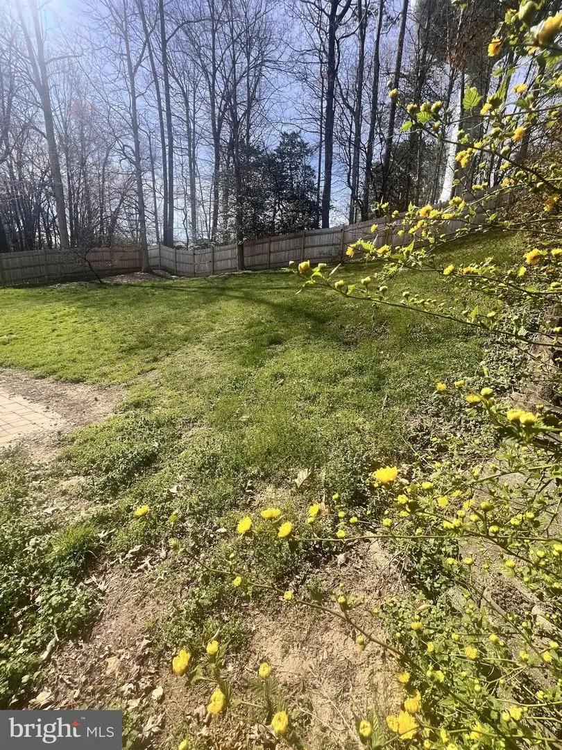 9084 Mullen Rd, King George, VA 22485 - #3