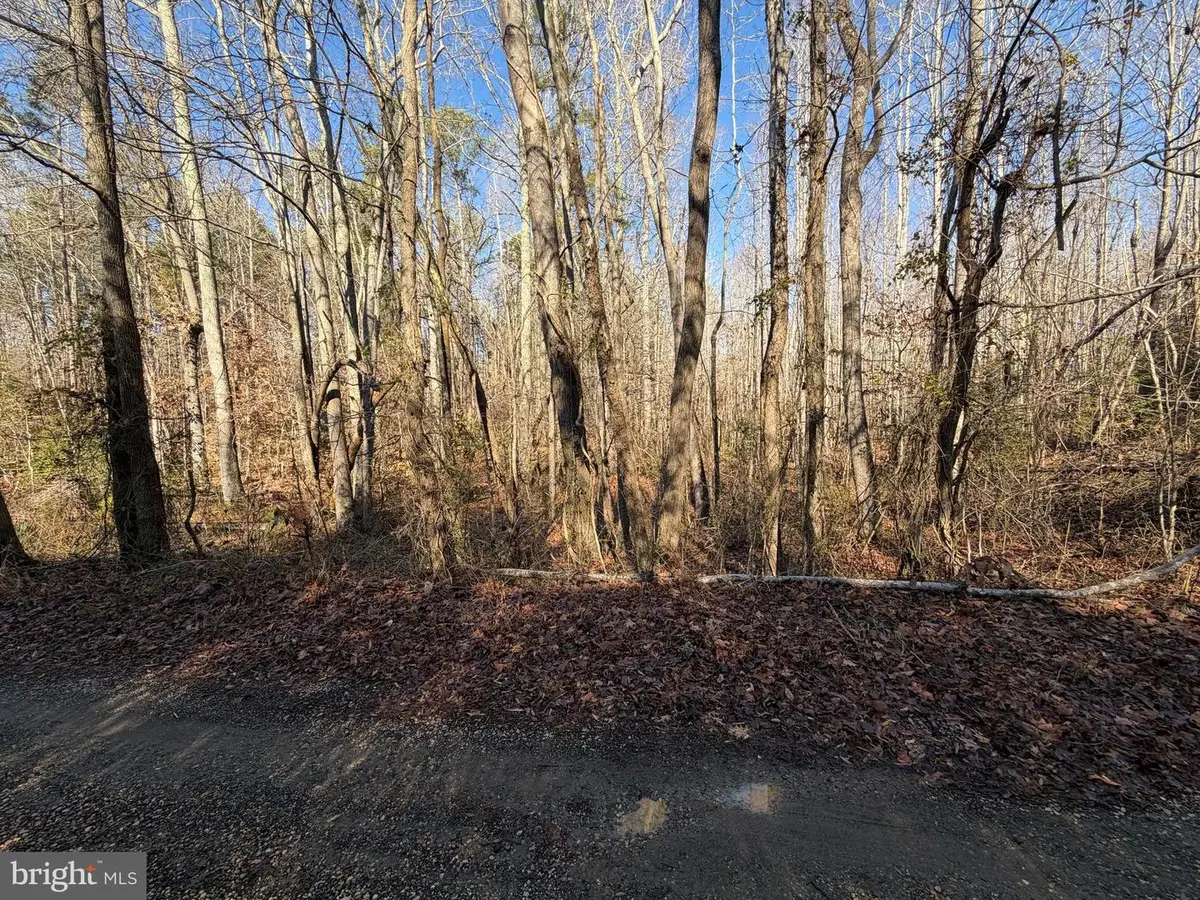Lot 2a Turkey Acres Rd, King George, VA 22485 - #1