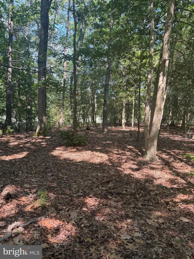 0000 Nancy Ln, King George, VA 22485 - #1