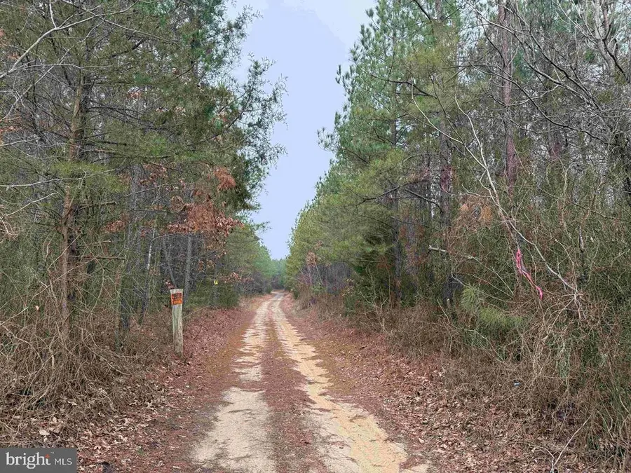 Pollards Lane (tract Tanager Et2-2012), Saint Stephens Church, VA 23148 - #3