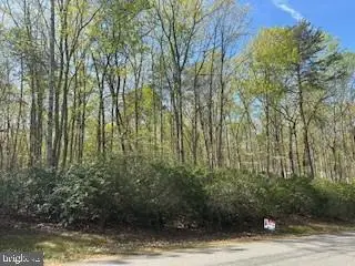 Lot 16 Pine Harbour Drive, Mineral, VA 23117 - Image #1