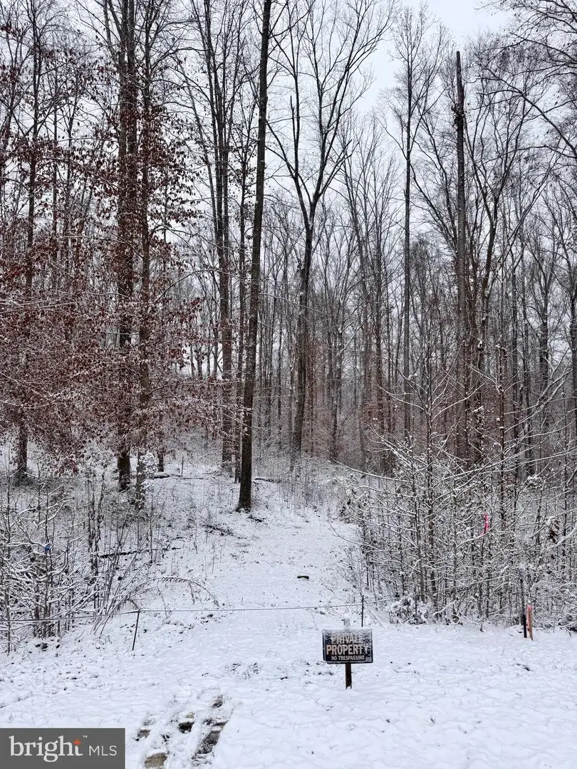 71 Alexandra Cir, Bumpass, VA 23024 - Image #2