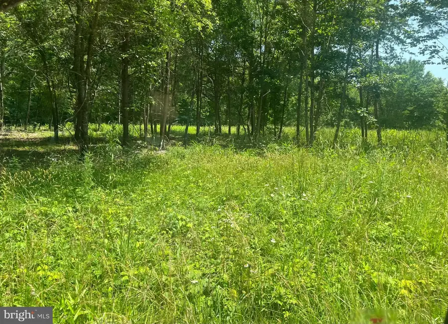 Lot 1 Kentucky Springs Rd, Bumpass, VA 23024 - Image #3