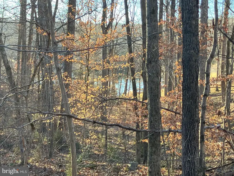 Lots 1223 & 1224 N Lakeshore Dr, Louisa, VA 23093 - #3