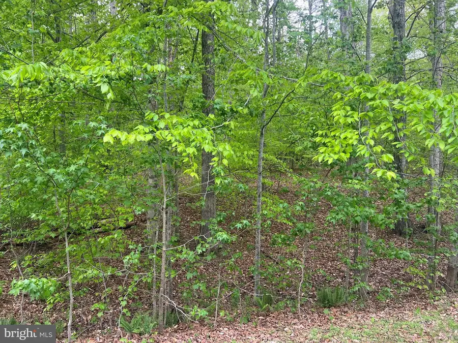 Fisher Drive, Mineral, VA 23117 - #2