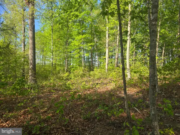 Firehouse Dr, LOUISA, VA 23093