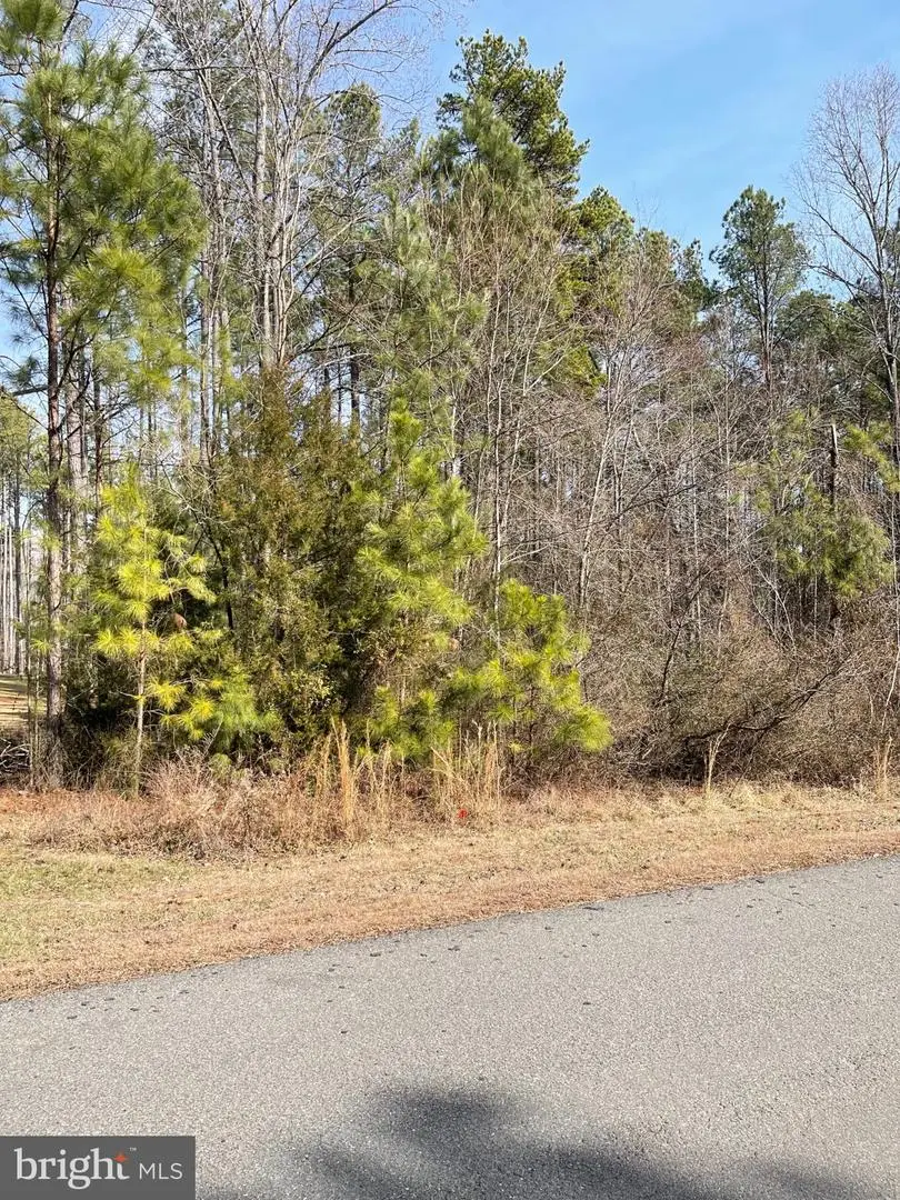 Winchester Trail, Mineral, VA 23117 - #3