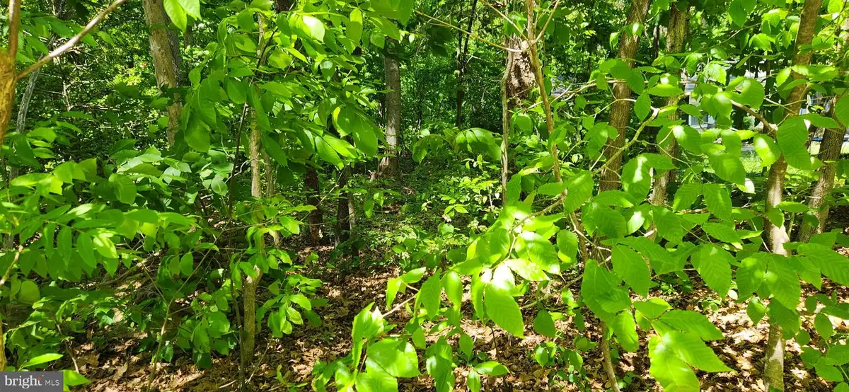 Nottingham Road 0, Louisa, VA 23093 - #1