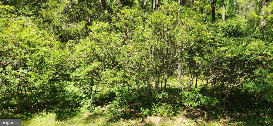 Nottingham Road 0, Louisa, VA 23093 - #3
