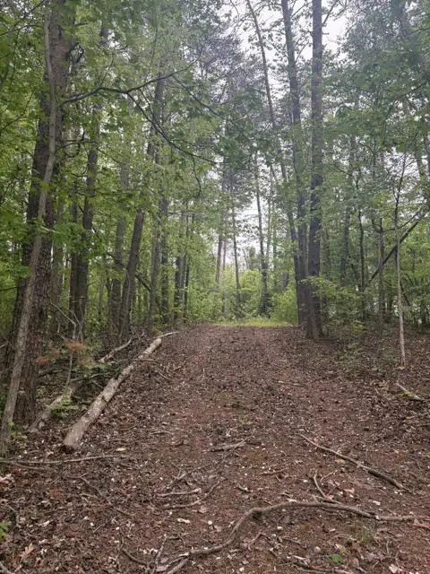 Lot 2 Plum Tree Cir, Bumpass, VA 23024 - #2