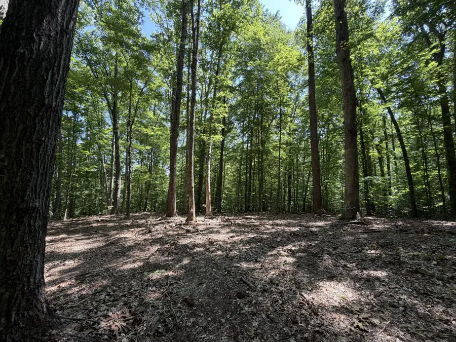 Lot 4a Parrish Rd, Louisa, VA 23093 - #2