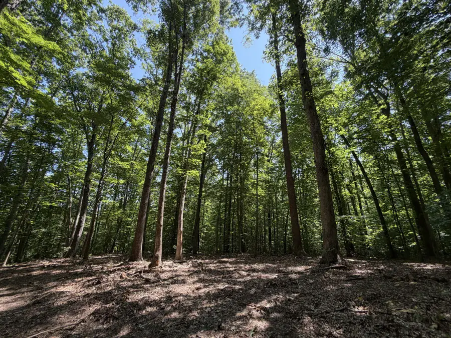 Lot 4a Parrish Rd, Louisa, VA 23093 - #3