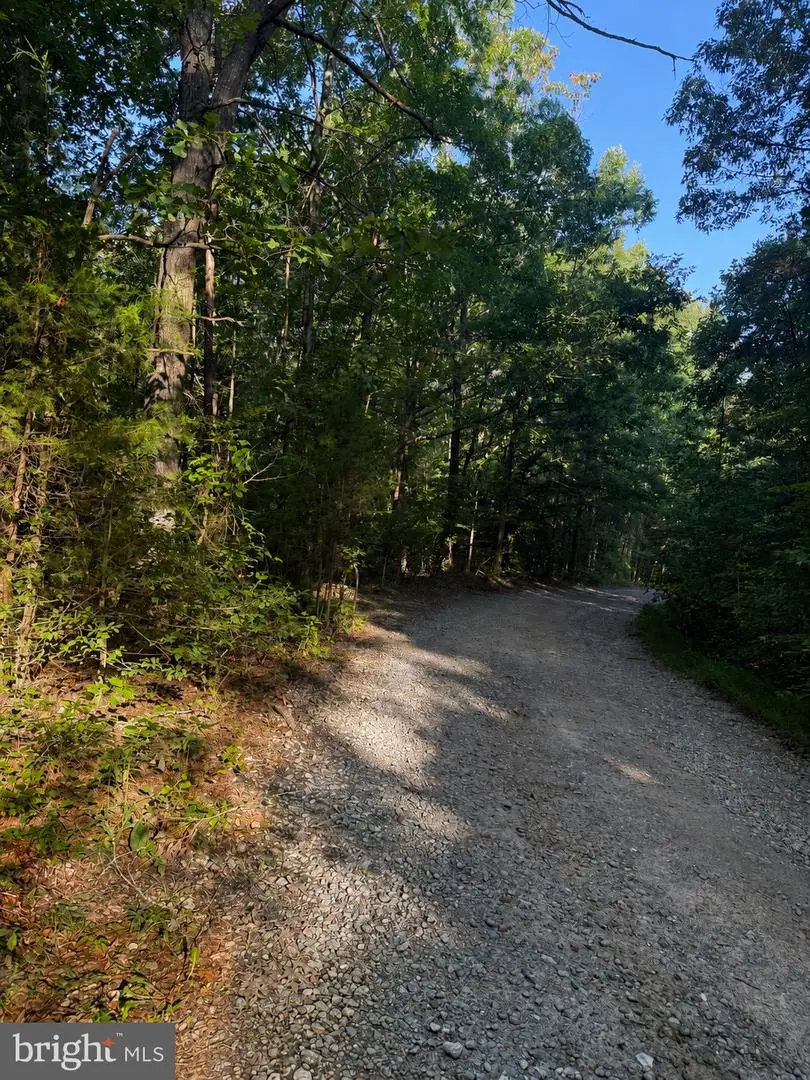 Lot 20 Foxbrook Ln, Louisa, VA 23093 - #2
