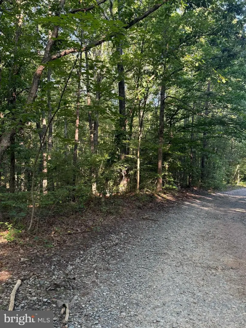 Lot 20 Foxbrook Ln, Louisa, VA 23093 - #3