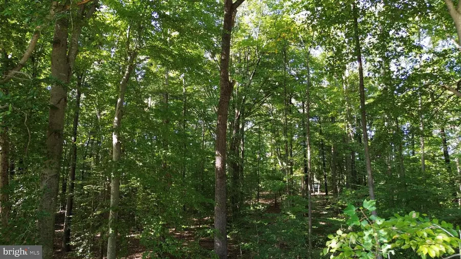 3 Acres Belsches Rd, Bumpass, VA 23024 - #2