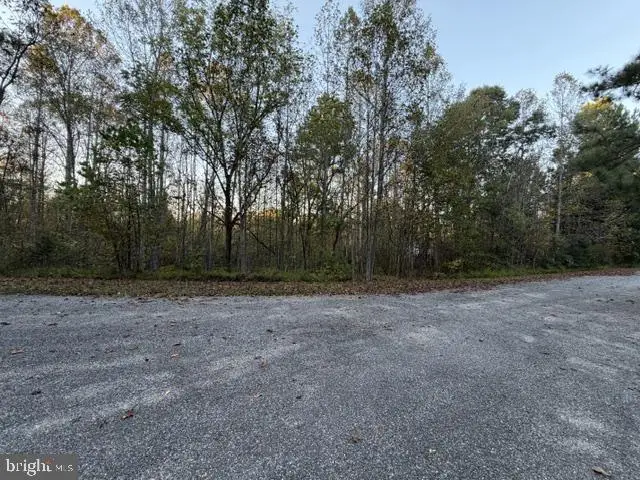 Arabian Ct, Louisa, VA 23093 - #3