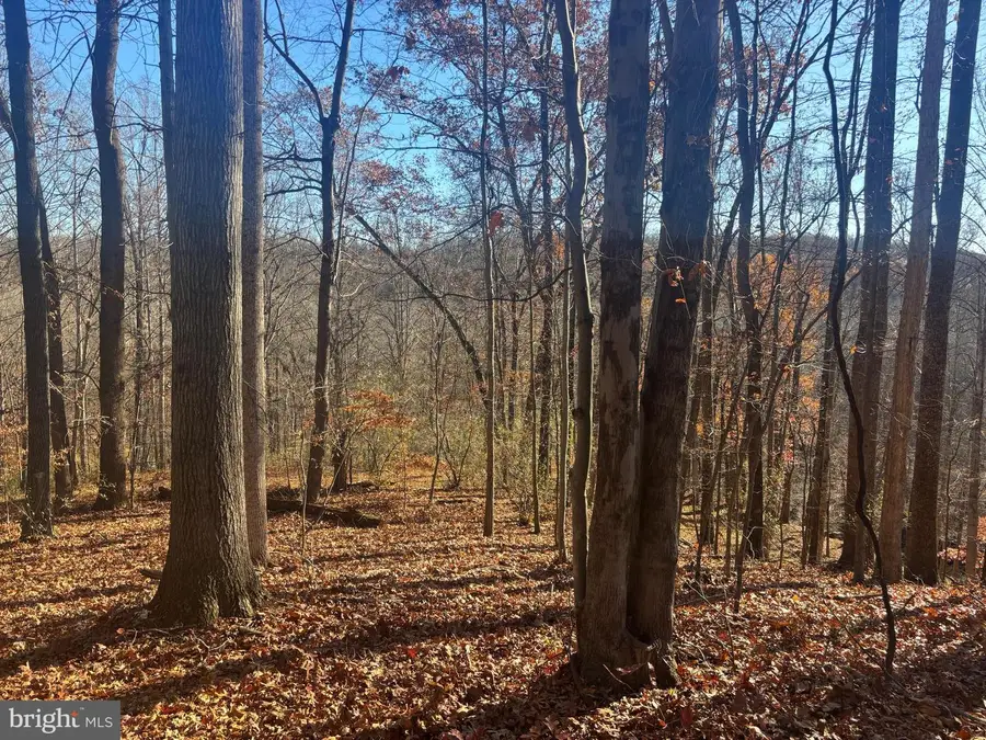 38196 Lime Kiln Rd, Middleburg, VA 20117 - Image #2