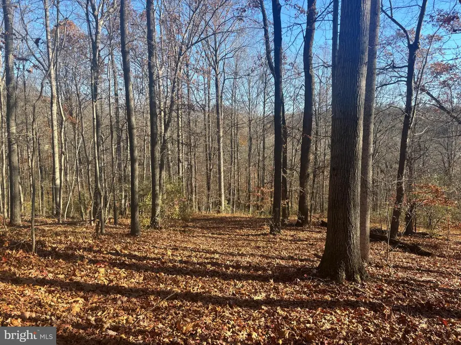 38196 Lime Kiln Rd, Middleburg, VA 20117 - Image #3