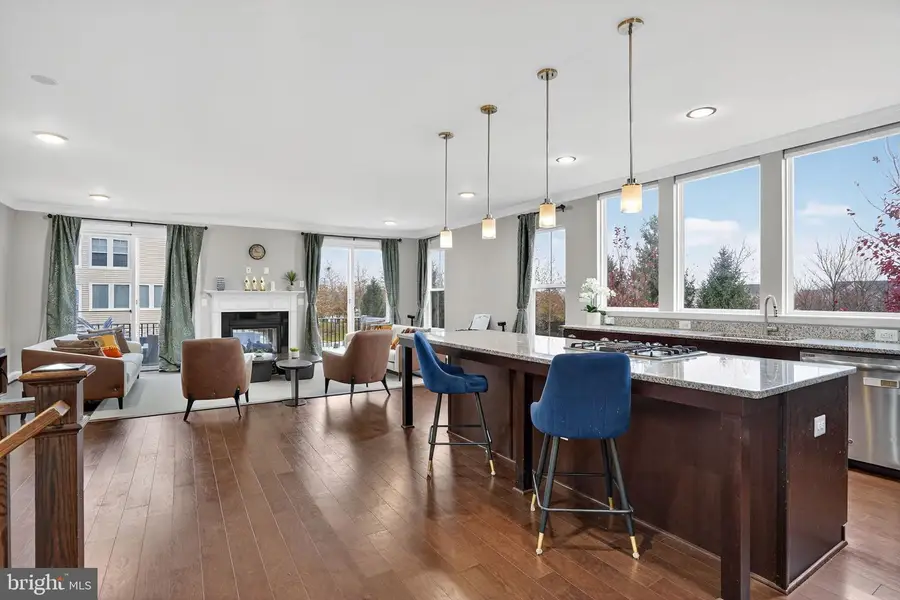 42239 Riggins Ridge Ter, Brambleton, VA 20148 - Image #3