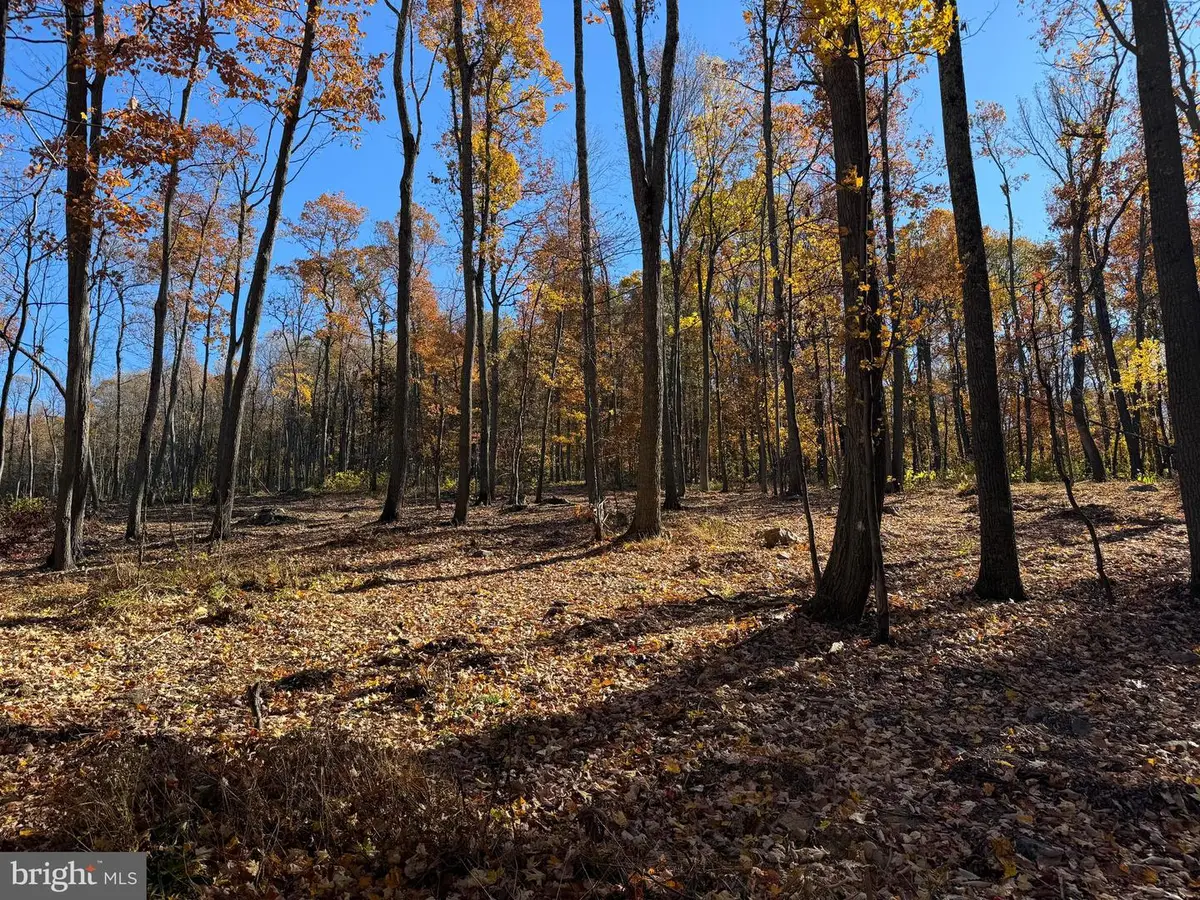 0 Digging Bear Ln, Hillsboro, VA 20132 - Image #1