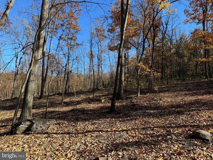 0 Digging Bear Ln, Hillsboro, VA 20132 - Image #3