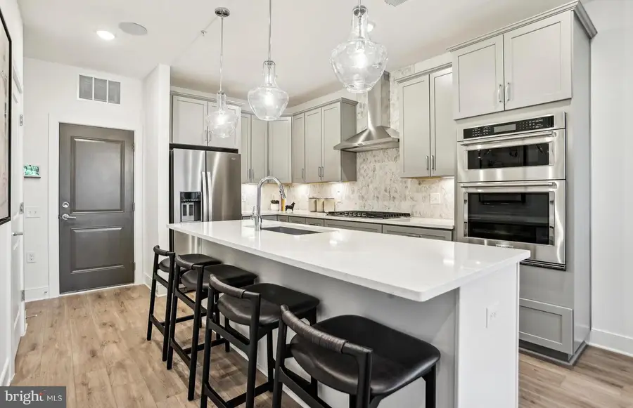 19808 Lavender Dust Sq, Ashburn, VA 20147 - Image #2