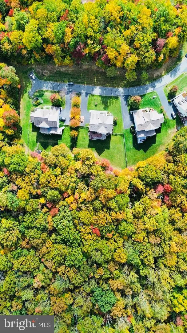 41640 Montacute Ln, Leesburg, VA 20176 - Image #3