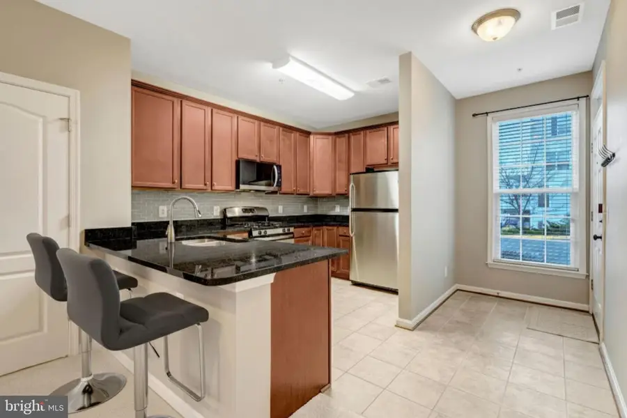 42206 Water Iris Ter #200, Aldie, VA 20105 - #2