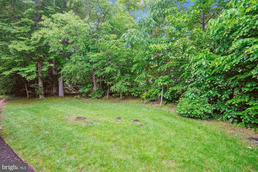 47666 Paulsen Sq, Potomac Falls, VA 20165 - Image #3