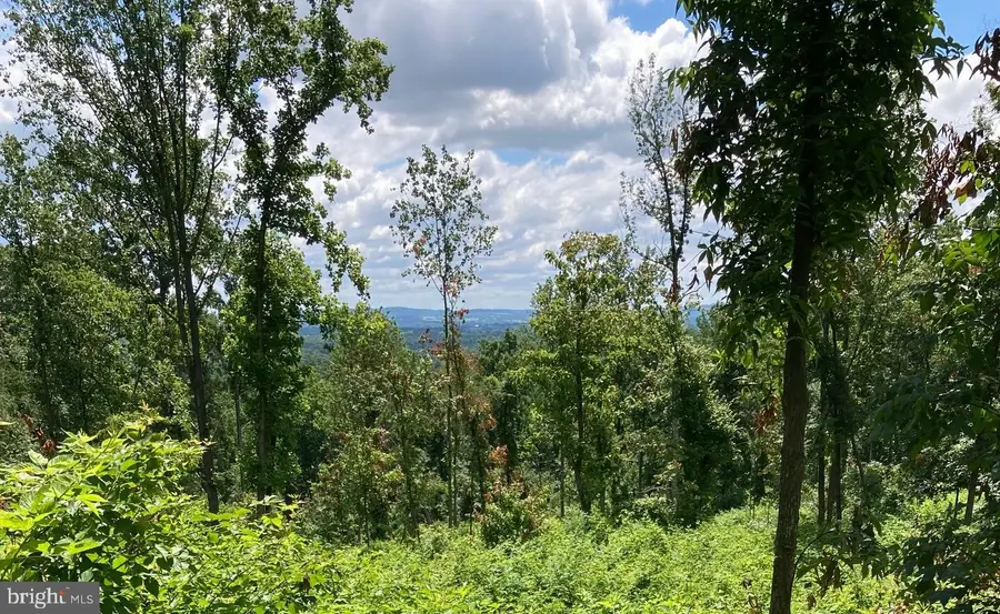 13477 Mountain Road, Lovettsville, VA 20180 - Image #2