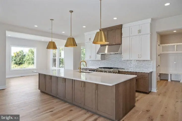 41544 Blarney Stone Pl, Ashburn, VA 20148 - #2