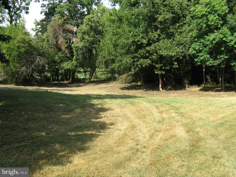 Lot 1c Harmon Lodge, Round Hill, VA 20141 - #2