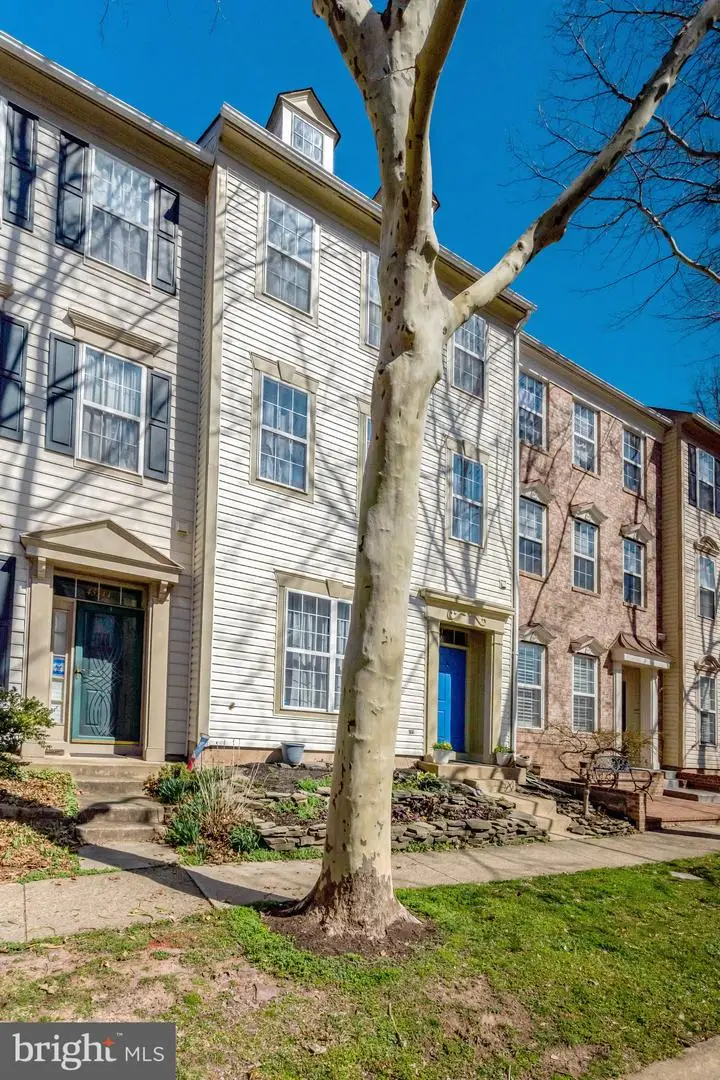 43546 Mink Meadows St, Chantilly, VA 20152 - #3