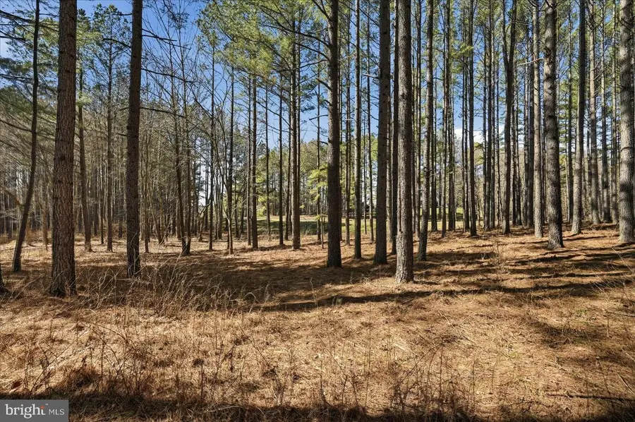 22550 Creighton Farms Dr, Leesburg, VA 20175 - #3