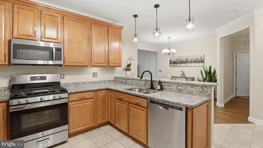 24660 Woolly Mammoth Ter #305, Aldie, VA 20105 - #3