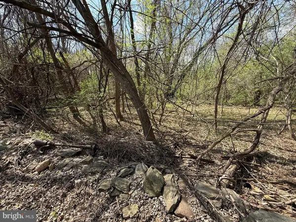 Philomont Rd, PURCELLVILLE, VA 20132